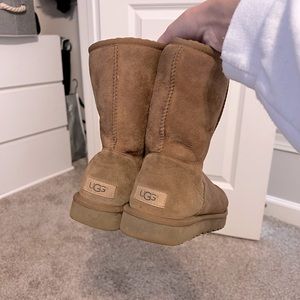 Chestnut Uggs!